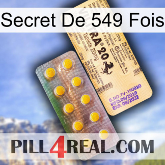Secret Of 549 Times new06